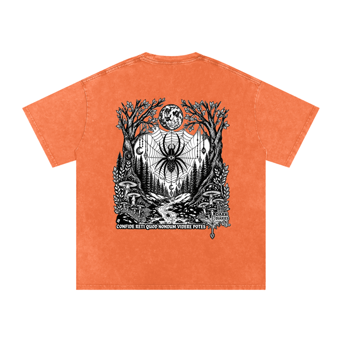 Spider Snow Washed Oversized Cotton T-Shirt